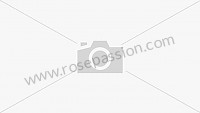 P130810 - Bomba de combustible para Porsche 356B T5 • 1960 • 1600 (616 / 1 t5) • Cabrio b t5 • Caja manual de 4 velocidades