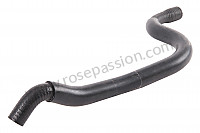 P34756 - Hose for Porsche 944 • 1983 • 944 2.5 • Coupe • Manual gearbox, 5 speed