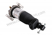 P205058 - Spring strut for Porsche Cayenne / 957 / 9PA1 • 2009 • Cayenne gts • Manual gearbox, 6 speed