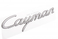 P113881 - Inscripcion para Porsche Cayman / 987C2 • 2010 • Cayman s 3.4 • Caja pdk
