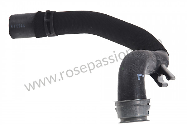 P186318 - Water hose for Porsche 991 • 2013 • 991 c4 • Coupe • Manual gearbox, 7 speed