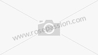 Drehstromgenerator Neuteil (P65326) für Porsche 996 / 911 Carrera &bull; 2001 &bull; 996 Carrera 4 &bull; Cabrio &bull; 6-Gang-Handschaltgetriebe