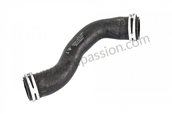 P136148 - Water hose for Porsche 997-2 / 911 Carrera • 2012 • 997 c2 gts • Cabrio • Manual gearbox, 6 speed