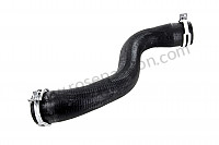 P136150 - Water hose for Porsche 997-2 / 911 Carrera • 2011 • 997 c2 gts • Coupe • Manual gearbox, 6 speed