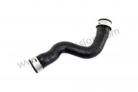 P136149 - Water hose for Porsche 997-2 / 911 Carrera • 2010 • 997 c4s • Coupe • Manual gearbox, 6 speed