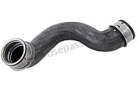 P94313 - Water hose for Porsche 997-1 / 911 Carrera • 2006 • 997 c2 • Coupe • Manual gearbox, 6 speed
