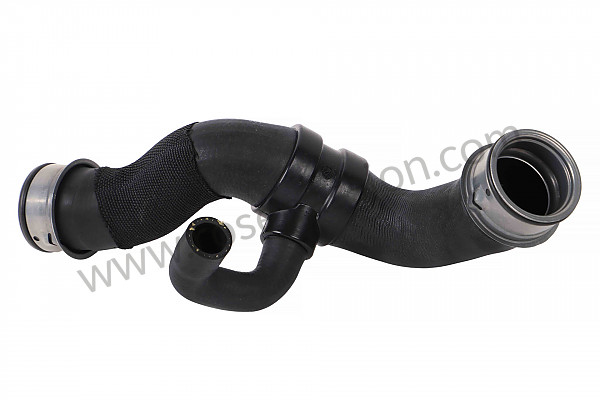 P146668 - Hose for Porsche 997 GT3 / GT3-2 • 2010 • 997 gt3 3.8 • Coupe • Manual gearbox, 6 speed