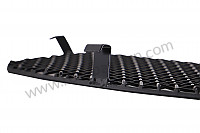 P1035157 - FRONT BUMPER GRILLES for Porsche Boxster / 987 • 2008 • Boxster s 3.4 • Cabrio • Manual gearbox, 6 speed