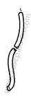 P117212 - Tubo fless. scarico acqua per Porsche Cayenne / 955 / 9PA • 2004 • Cayenne s v8 • Cambio manuale 6 marce