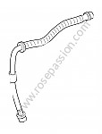 P205053 - Brake hose for Porsche Cayenne / 957 / 9PA1 • 2009 • Turbo e81 • Automatic gearbox