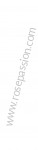 P93153 - Versteviging voor Porsche Cayman / 987C2 • 2012 • Cayman r • Bak pdk